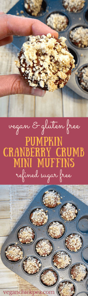 Pumpkin Cranberry Crumb Mini Muffins (Vegan & Gluten Free) - a super moist and bite sized treat, perfect for adults and kids alike! {refined sugar free}