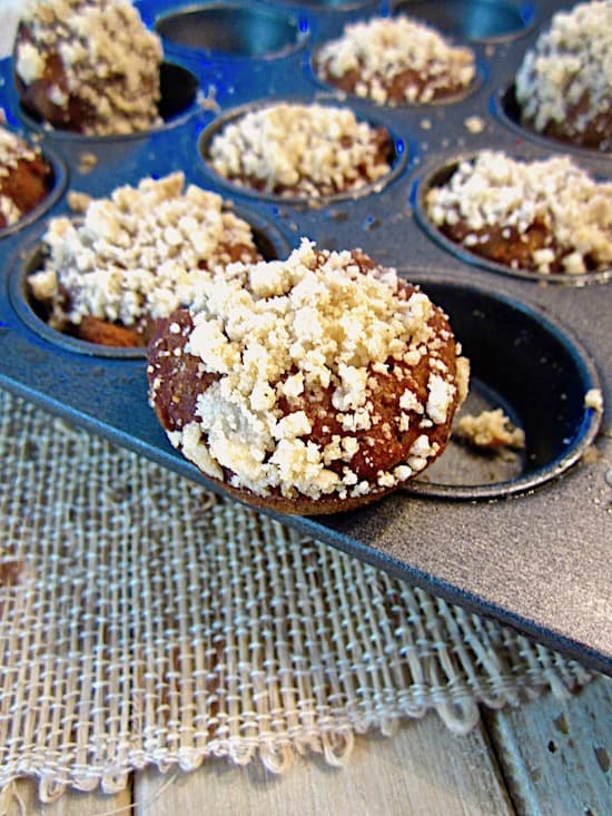 Pumpkin Cranberry Crumb Mini Muffins (Vegan & Gluten Free) - a super moist and bite sized treat, perfect for adults and kids alike! {refined sugar free}