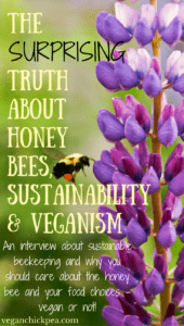 The surprising truth about honey bees, sustainability and veganism: An interview about sustainable beekeeping and why you should care about the honey bee and your food choices - vegan or not! | veganchickpea.com